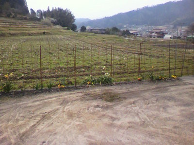 2012041008410003.jpg
