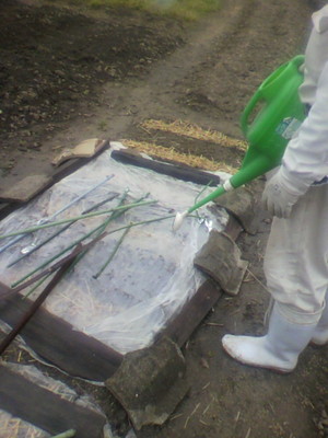 2012041609110004.jpg