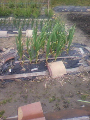 2012041609130003.jpg
