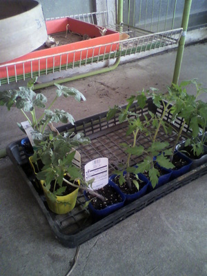 2012050308440000.jpg
