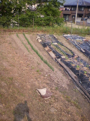 2012051008490000.jpg