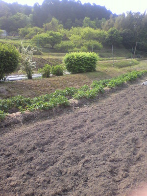 2012051008510001.jpg