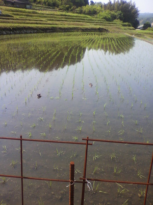 2012051609110001.jpg
