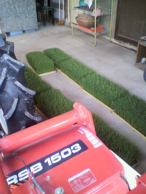 2012051609120000.jpg