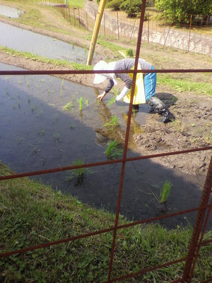 2012051609120001.jpg