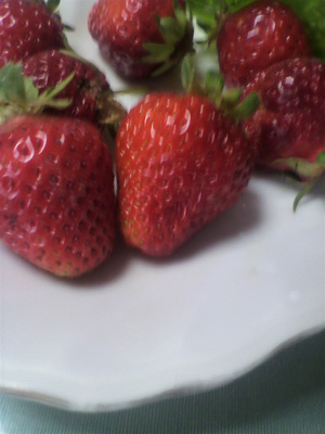 2012052208280000.jpg