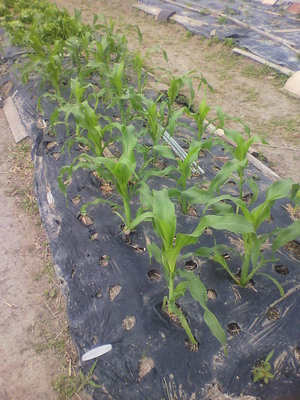2012053108370000.jpg