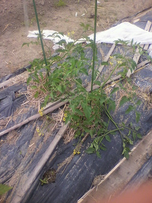 2012053108380001.jpg