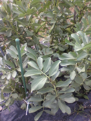 2012053108410001.jpg