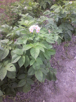 2012053108410002.jpg