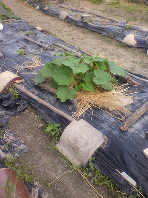 2012053108420000.jpg