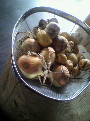 2012061510250000.jpg