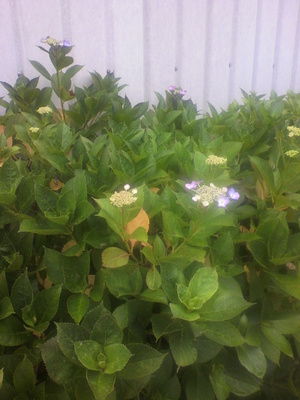 2012062709090001.jpg