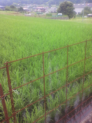 2012062709090002.jpg