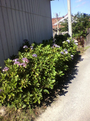 2012071808390000.jpg