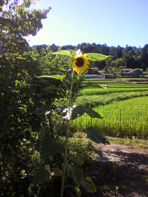 2012071808400001.jpg
