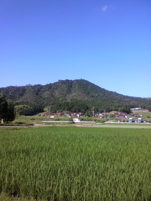 2012071808420000.jpg
