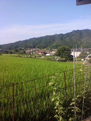 2012080808350000.jpg