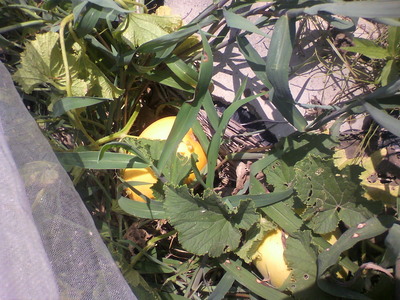 2012080808370000.jpg