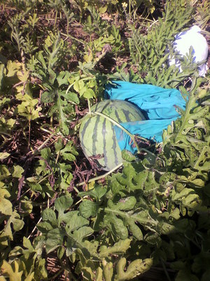 2012080808380001.jpg
