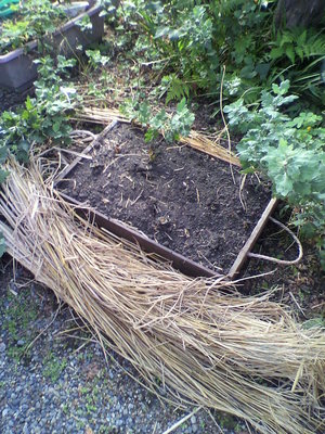 2012091209030000.jpg