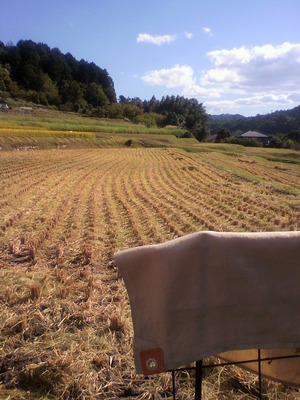 2012100214340001.jpg