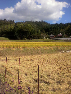 2012100214340002.jpg