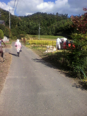 2012100214350000.jpg