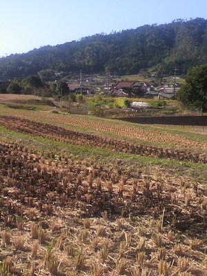 2012101909210000.jpg
