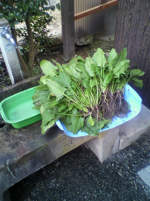 2012110707550001.jpg
