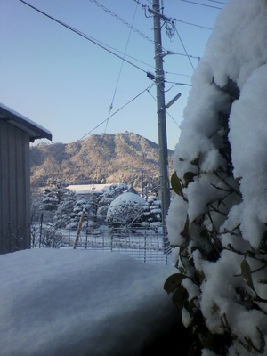 2013012808150000.jpg