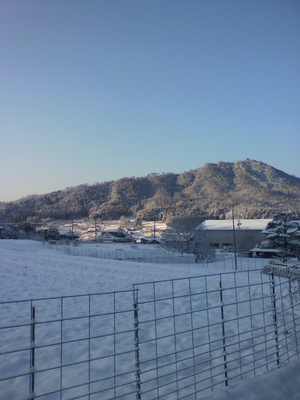 2013012808160000.jpg