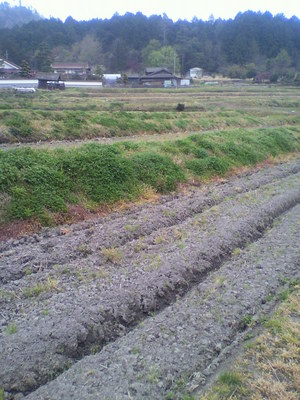 2013041708120000.jpg