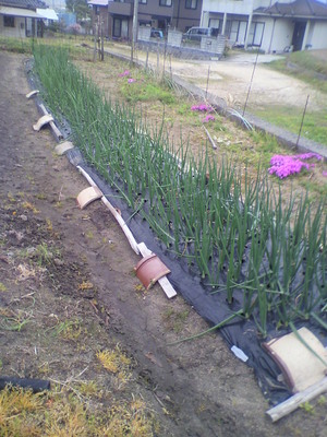 2013041708130000.jpg
