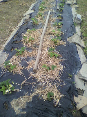 2013041708140000.jpg