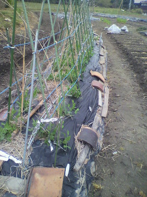 2013041708140001.jpg