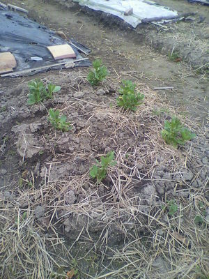 2013041708150000.jpg