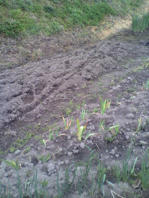 2013041708150001.jpg