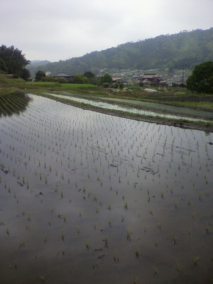 2013051609020000.jpg