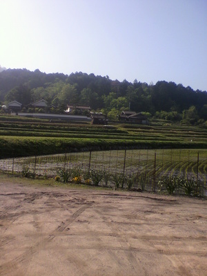 2013052208160000.jpg