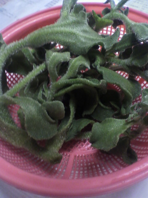 2013052208160001.jpg