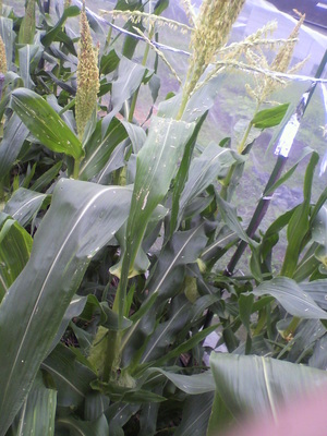 2013070308400000.jpg