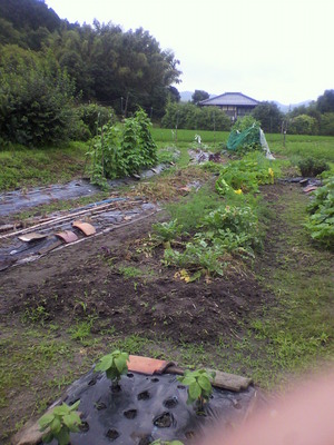 2013070308400003.jpg