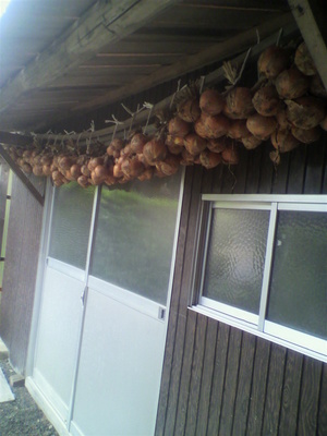 2013070308460001.jpg