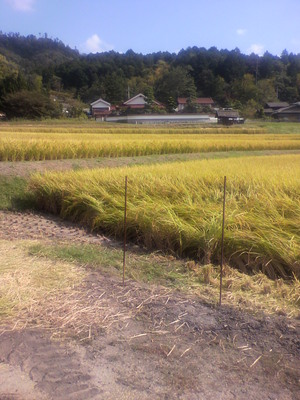 2013092414030001.jpg