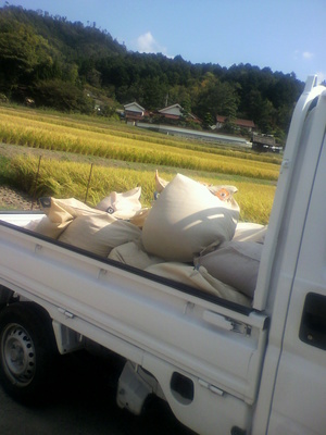 2013092414030002.jpg