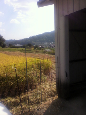 2013092414030003.jpg